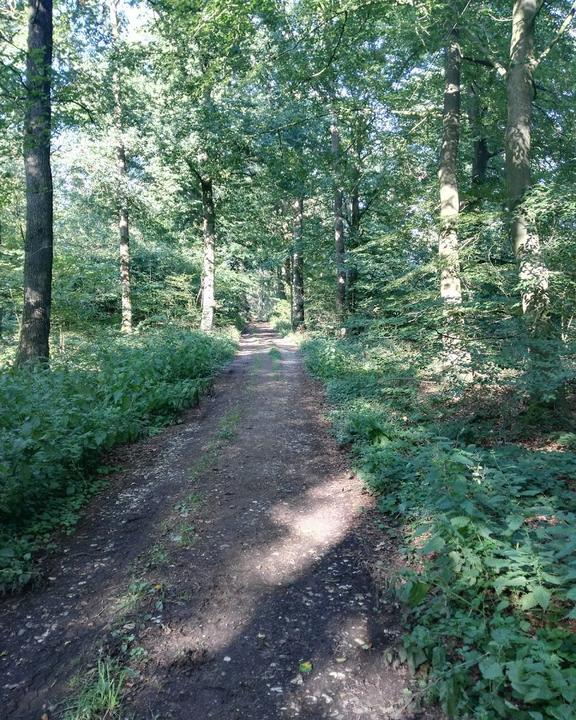 Campingplatz Bremer